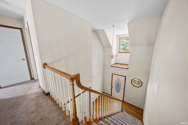 staircase with carpet floors