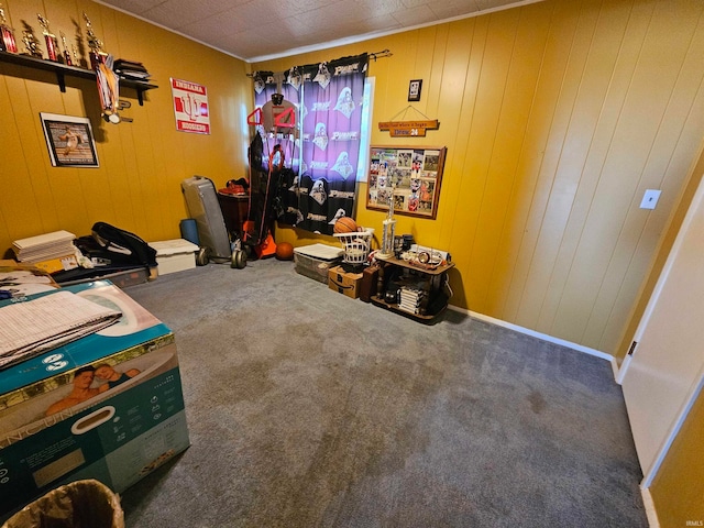 office featuring wooden walls and dark colored carpet