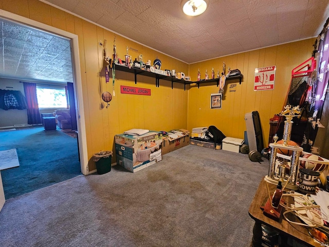 interior space with carpet and wooden walls