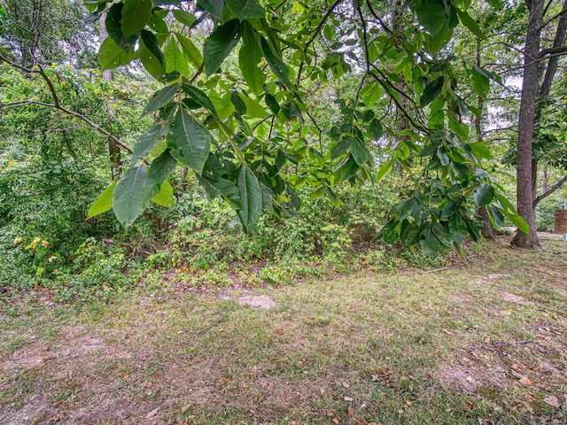 1117 Pretty Place Ln Unit 3, Evansville, IN 47725