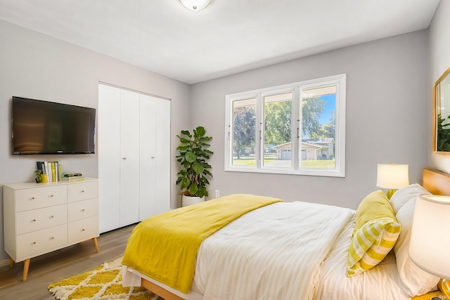 bedroom featuring dark wood-type flooring and a closet