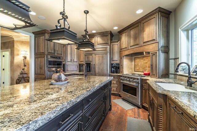 kitchen featuring sink, dark hardwood / wood-style flooring, light stone counters, and high quality appliances