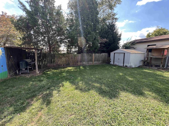 view of yard featuring a shed