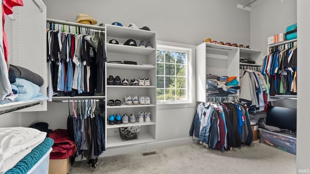 spacious closet featuring light colored carpet