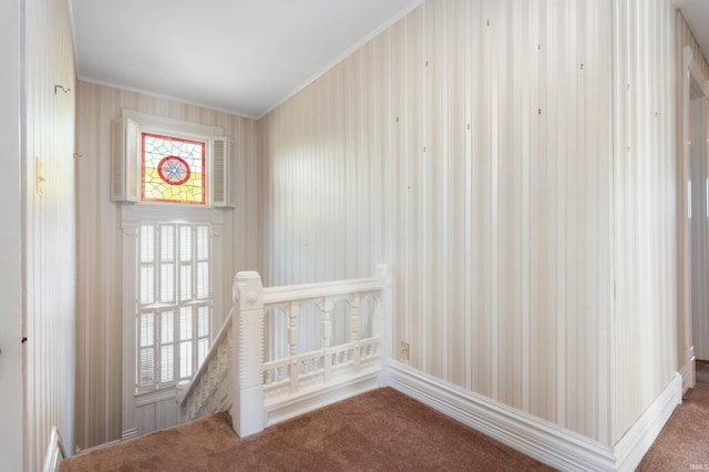 corridor with carpet floors and ornamental molding