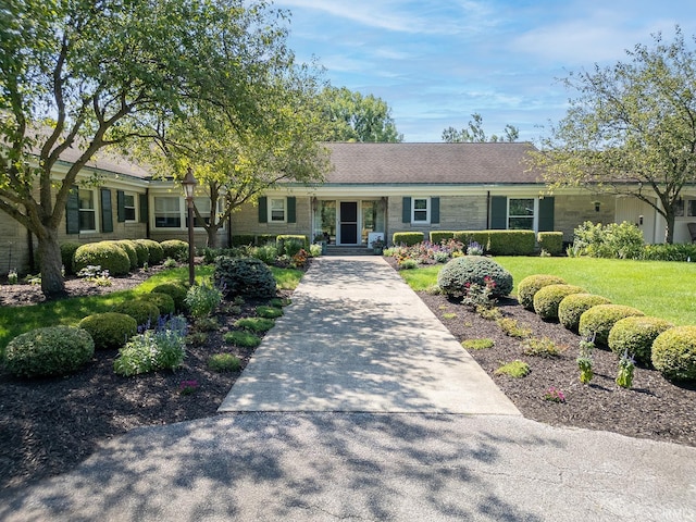 single story home featuring a front lawn