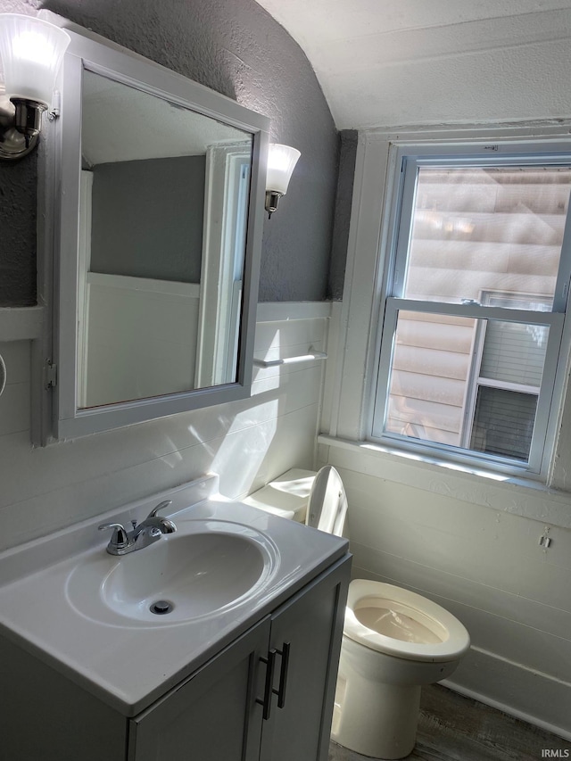 1243 Portage Ave, South Bend, IN 46616 - bathroom with a textured wall, toilet, vanity, and vaulted ceiling
