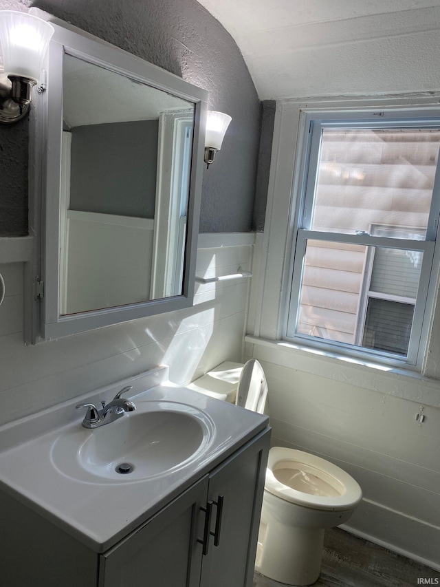 bathroom with hardwood / wood-style flooring, plenty of natural light, vanity, and toilet