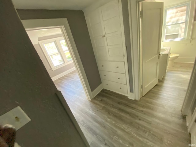 1243 Portage Ave, South Bend, IN 46616 - corridor with wood finished floors and baseboards