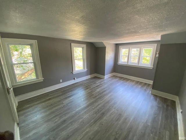 spare room with a textured ceiling, dark hardwood / wood-style floors, and a healthy amount of sunlight