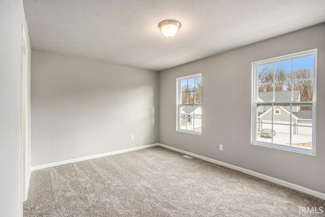 empty room featuring a textured ceiling and carpet flooring