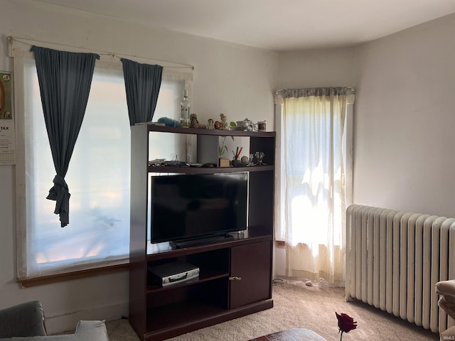 living room with light colored carpet and radiator heating unit