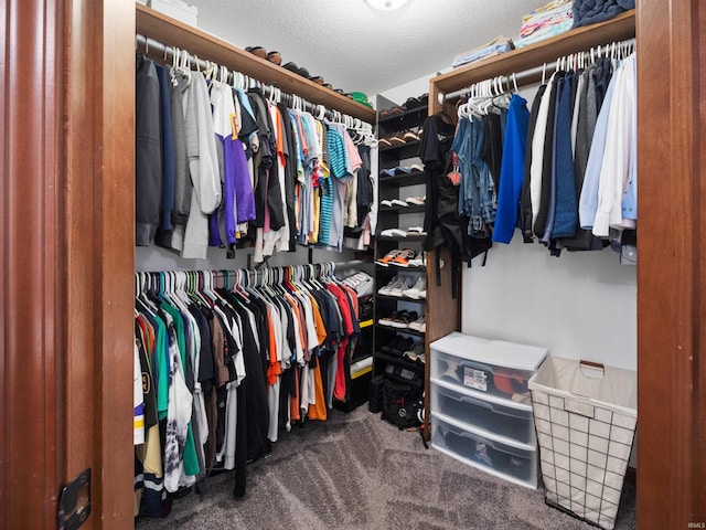 spacious closet with dark carpet