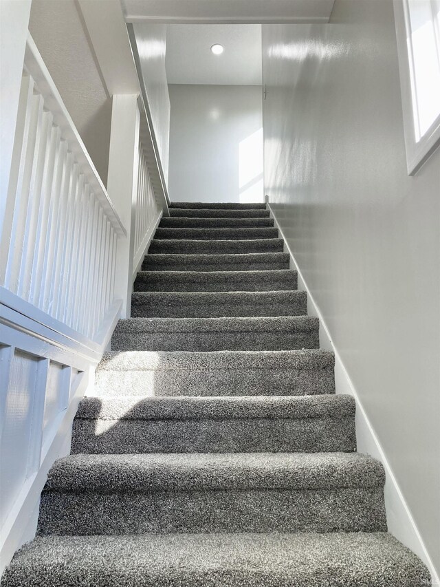 staircase with carpet