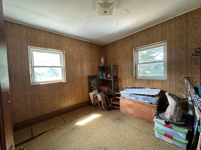 misc room featuring wood walls and a wealth of natural light