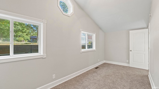 additional living space with light carpet, a wealth of natural light, and vaulted ceiling