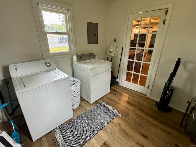 clothes washing area with washer and clothes dryer, light hardwood / wood-style floors, and electric panel