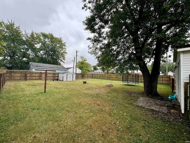 view of yard featuring a trampoline and a storage shed