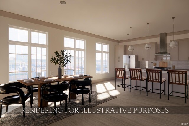 dining space featuring hardwood / wood-style floors, a healthy amount of sunlight, and sink