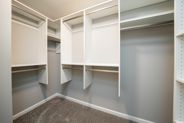 walk in closet with carpet floors