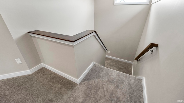 stairway with carpet flooring