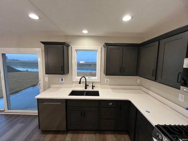 kitchen with dishwasher, sink, and dark hardwood / wood-style floors