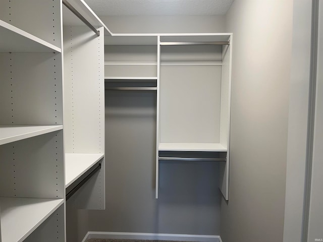 view of walk in closet