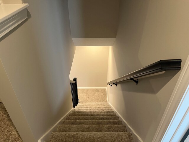 staircase with carpet