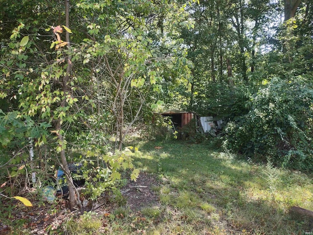 view of yard with a storage shed