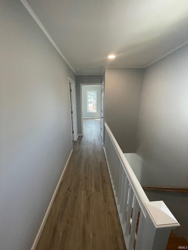 hall featuring ornamental molding and dark wood-type flooring