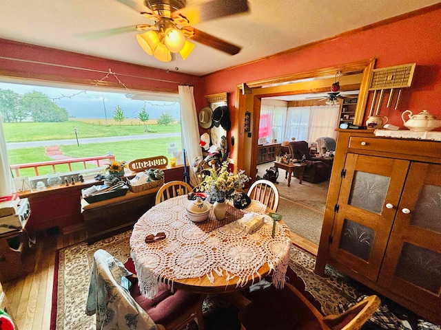 dining room featuring hardwood / wood-style floors, a healthy amount of sunlight, and ceiling fan