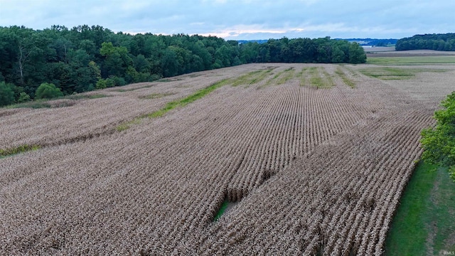 aerial view with a rural view