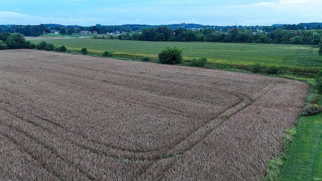 bird's eye view with a rural view