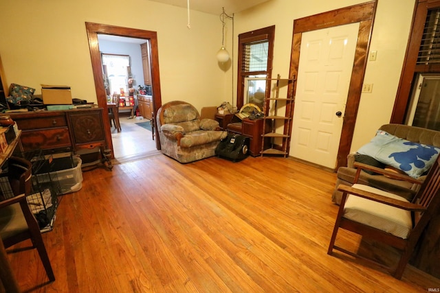 living room with light hardwood / wood-style floors