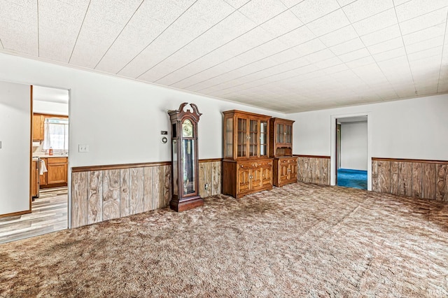 carpeted spare room featuring wooden walls