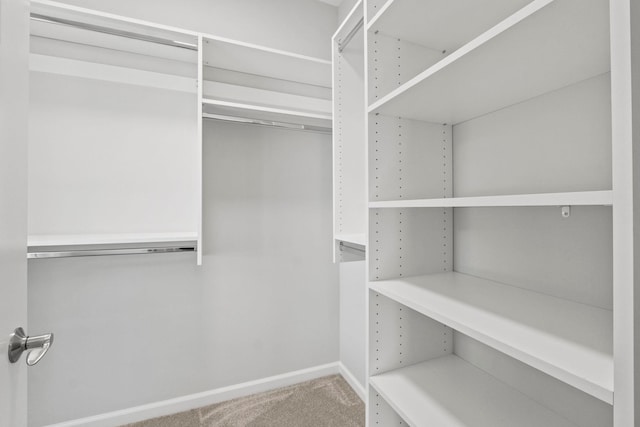 walk in closet with carpet flooring