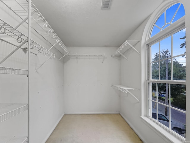 walk in closet featuring carpet