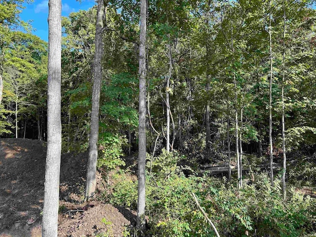 view of nature featuring a forest view