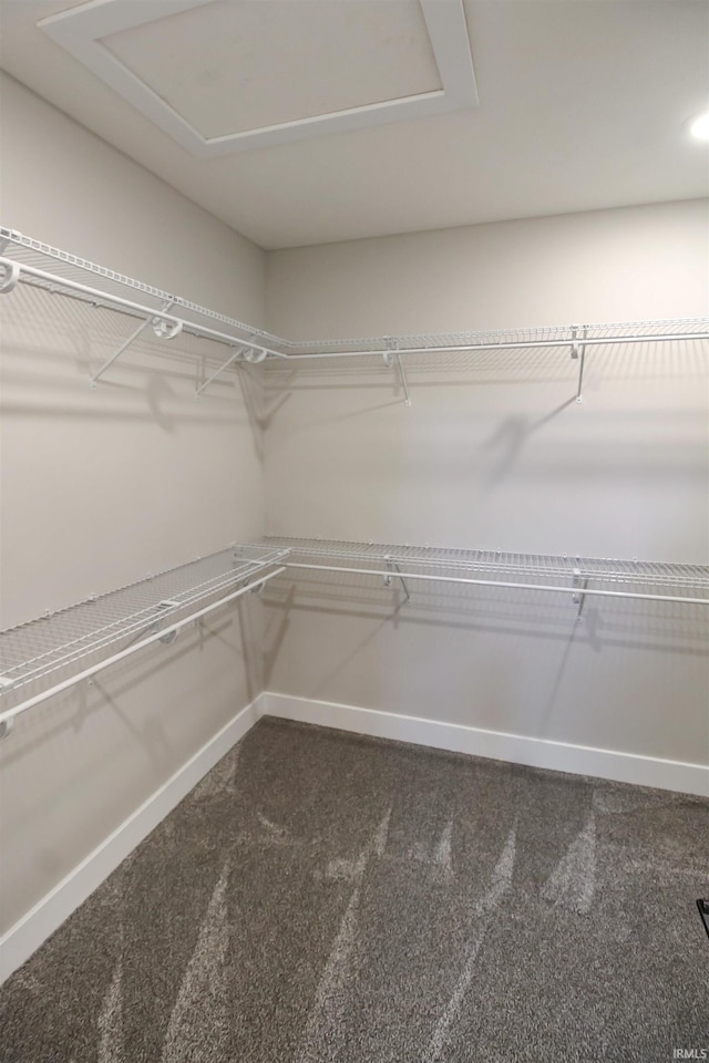 walk in closet with dark colored carpet