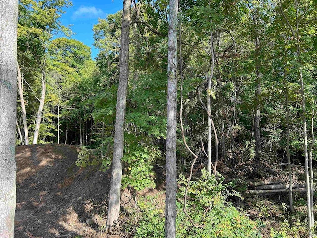 view of local wilderness featuring a forest view