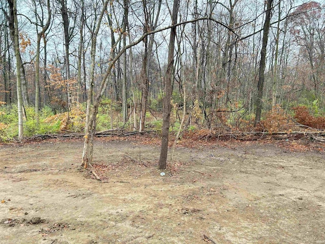 view of yard with a forest view