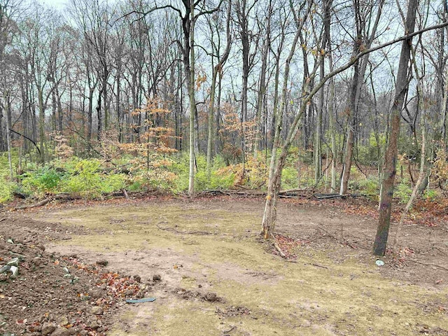 view of yard featuring a view of trees