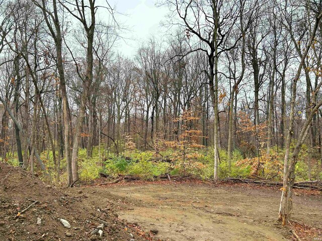 view of yard with a wooded view