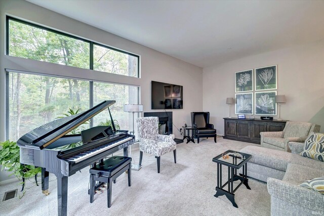 carpeted living room featuring a healthy amount of sunlight