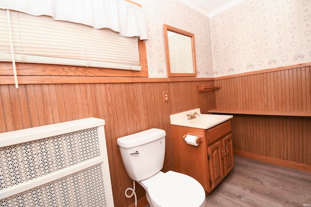 bathroom featuring vanity, toilet, and hardwood / wood-style flooring