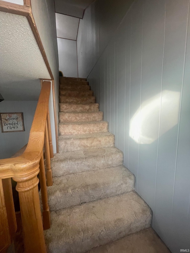 stairs with carpet floors and wooden walls