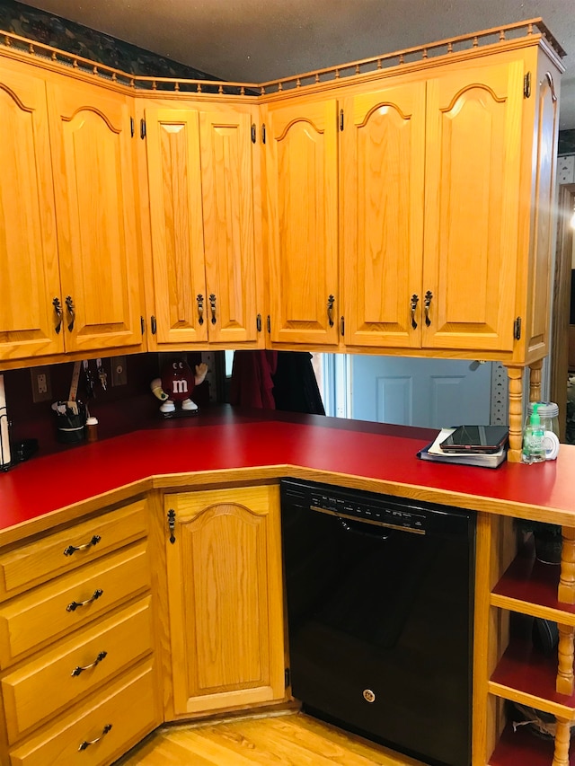 kitchen featuring dishwasher and light hardwood / wood-style floors