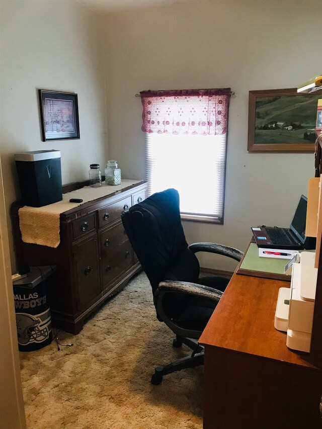 home office with light colored carpet