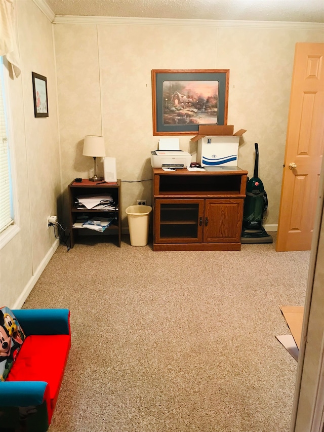 office with a textured ceiling, carpet, and crown molding