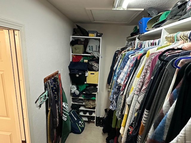 spacious closet featuring carpet floors